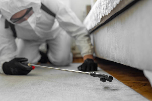 Professional Cockroach Control technician working in Clemson University, SC