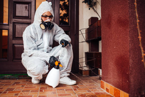 Reliable Cockroach Control contractor in Clemson University, SC by Nex Pest Control
